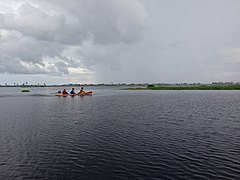 Lago Moronacocha cerca a la desembocadura del río Nanay.jpg