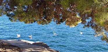 Lake Maggiore by ArmAg 1 4.jpg