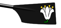 Image showing the rowing club's blade colours