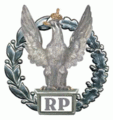 Odznaka tytułu honorowego "Zasłużony Żołnierz RP" II Stopnia (Srebrna) – wzór 2010.
