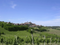 Colline del Monferrato