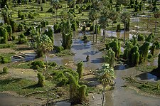 Marshes in Río Pilcomayo National Park