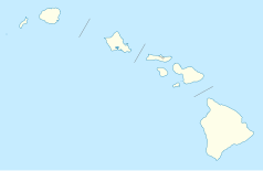 Mapa konturowa Hawajów, blisko centrum na prawo u góry znajduje się punkt z opisem „Kapalua”