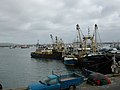 Voormalige Nederlandse boomkorkotters in de haven van Brixham