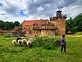 Guédelon, Département Yonne