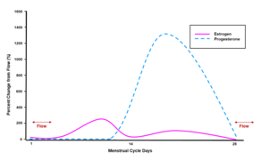 Menstrual cycle 2004 FA