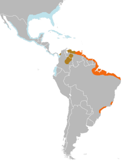 Bản đồ phân bố Cò quăm trắng Mỹ (xanh nhạt), Cò quăm đỏ (cam), cả hai (màu nâu)