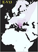 Haplogroup E1b1b1a2 (E-V13).jpg