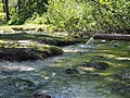 Quellgebiet im Karwendel