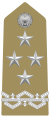 General of the Italian Army – shoulder board