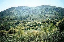 Paysage et végétation du Montes de Toledo.