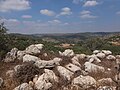 View looking north from ruin