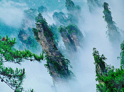 The sandstone pillars of Wulingyuan extend hundreds of meters over the valley floor.