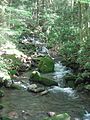 Washington Township, Fourth Gap tributary of White Deer Hole Creek