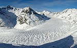 Aletsch, sedd från Eggishorn i Valais.