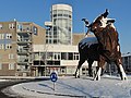 Stier op verkeersplein