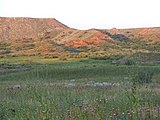 Canadian River wetlands near Fritch, TX