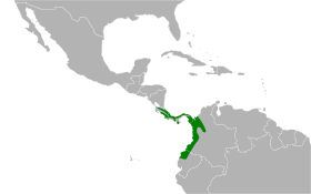 Distribución geográfica del dacnis muslirrojo.