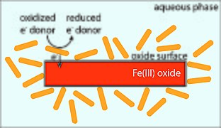 Heterogeneous microbial reaction.jpg