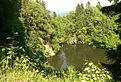 Der Rote See im Kaufunger Wald