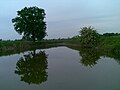 Le saline