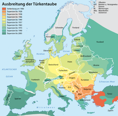 Mapa šíření v Evropě