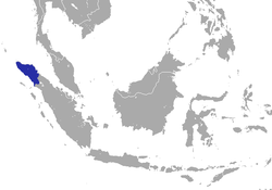 Distribución del langur de Thomas