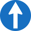 15: Prescribed direction: Straight ahead only