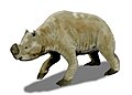 Zygomaturus