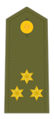 Divisa de capitán del Ejército de Tierra