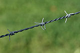 Barbed wire