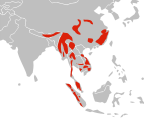 Spriadkoord faan't Asiaatisk Gulkaat NT - near threatened (nai bi trüüwet)