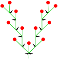 Dvojitý vrcholík (lat. cyma)