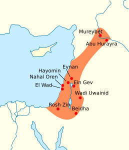 Tell Abu Hureyra es troba a l'extrem nord de la zona de la cultura natufiana (12.000 a 9.500 aC), no gaire lluny de Mureybet