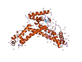 Crystal structure of a sigma70 subunit fragment from Escherichia coli RNA polymerase