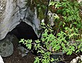 Gouffre entouré de sapins