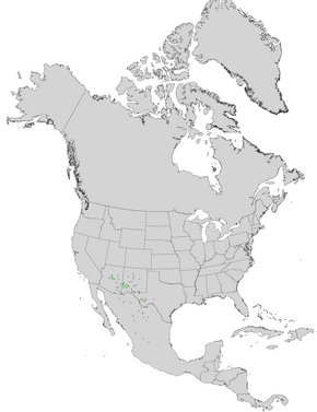 Description de l'image Quercus grisea range map 0.png.