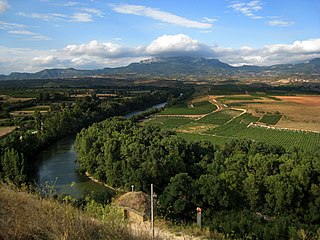 El río Ebro a su paso por Briones