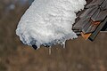 * Nomination Snow on the edge of a wooden crucifix roof at the cemetery on Oberer Kirchenweg 10 in Augsdorf, Velden, Carinthia, Austria -- Johann Jaritz 03:46, 26 January 2022 (UTC) * Promotion  Support Good quality. --XRay 04:30, 26 January 2022 (UTC)