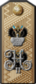 Погон классного и придворного чина «Генерал-адъютант, Вице-адмирал»