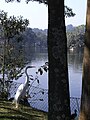 Garça no Parque Zoológico de São Paulo.