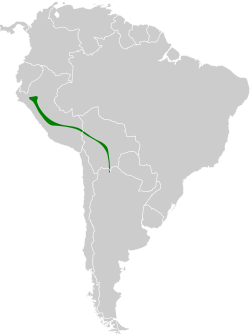 Distribución geográfica del bienteveo coronidorado.