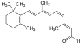 Deutsch: Struktur von 11-cis-Retinal English: Structure of 11-cis retinal