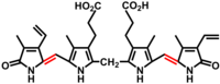 Bilirubin