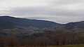 Vue de la forêt de Taillard et du mont Pyfarat (1 381 m) qui domine le village et la vallée de la Déôme.