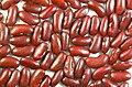 Red Kidney Bean Seeds