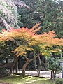 Daigo-ji (Kyoto).