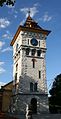 Der Turm des Gaswerkes. Er beherbergt heutzutage das «Gasi-Museum» (Gaswerk-Museum).