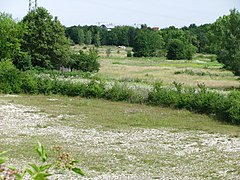 Virginia-Depot