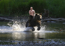 Vladimir Putin, a lomos de un oso pardo